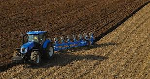 CHIOGGIA: AGRICOLTORE  TROVATO SENZA VITA IN MEZZO AI CAMPI